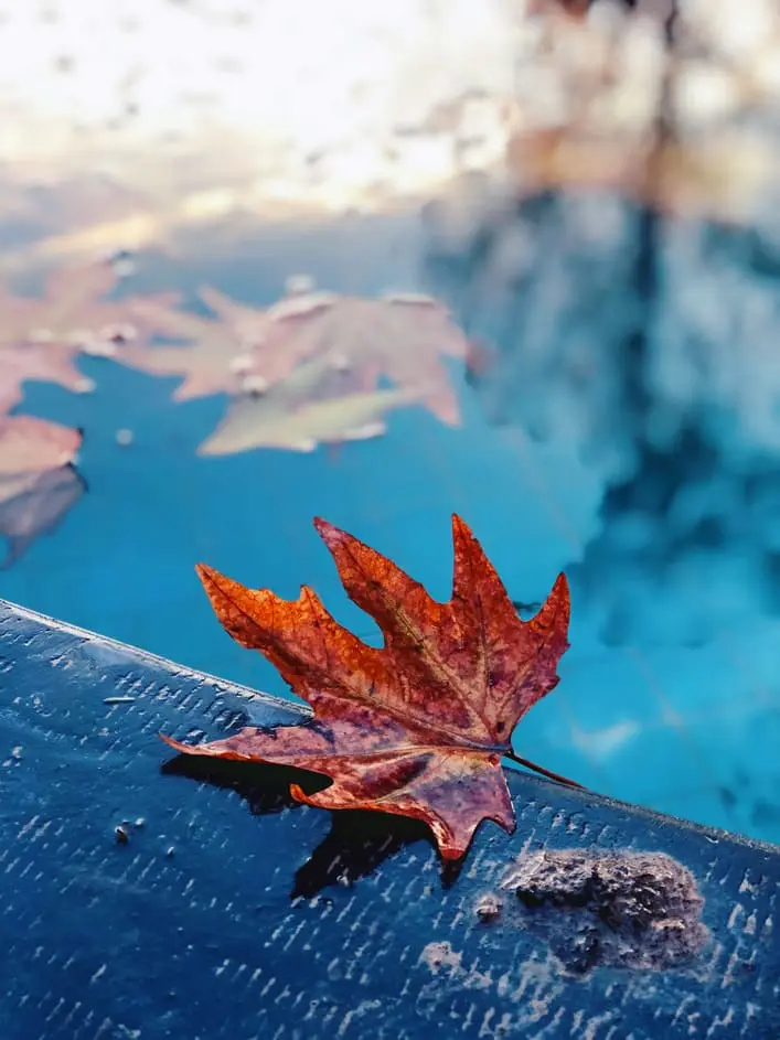 desjoyaux-hivernage-piscine-automne